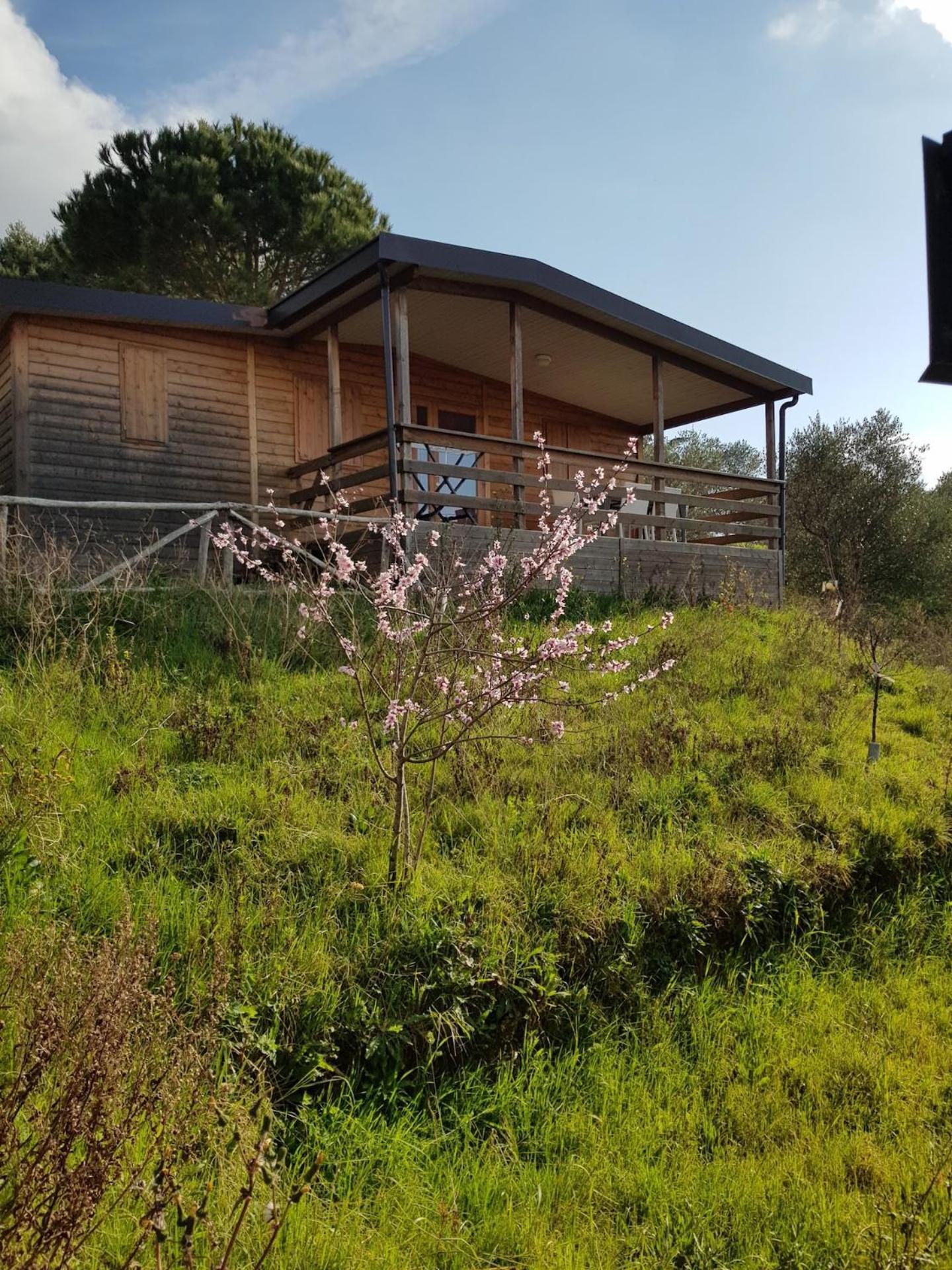 Agriturismo Le Rondini Di San Bartolo San Vincenzo Exterior photo