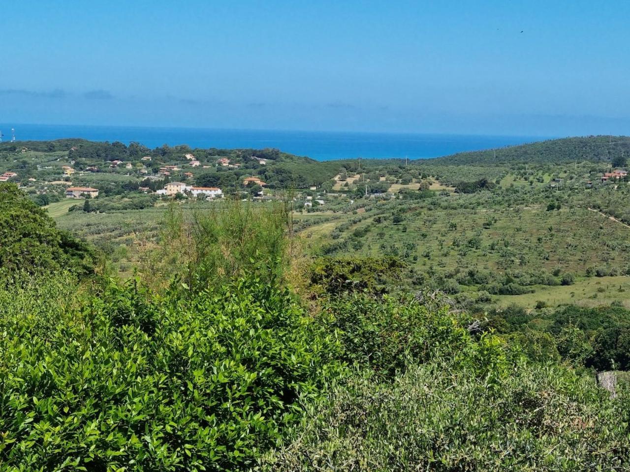Agriturismo Le Rondini Di San Bartolo San Vincenzo Exterior photo