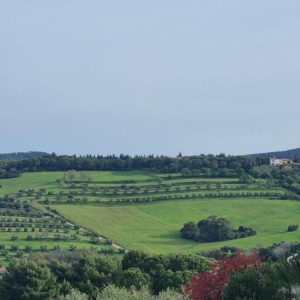 Agriturismo Le Rondini Di San Bartolo San Vincenzo Exterior photo