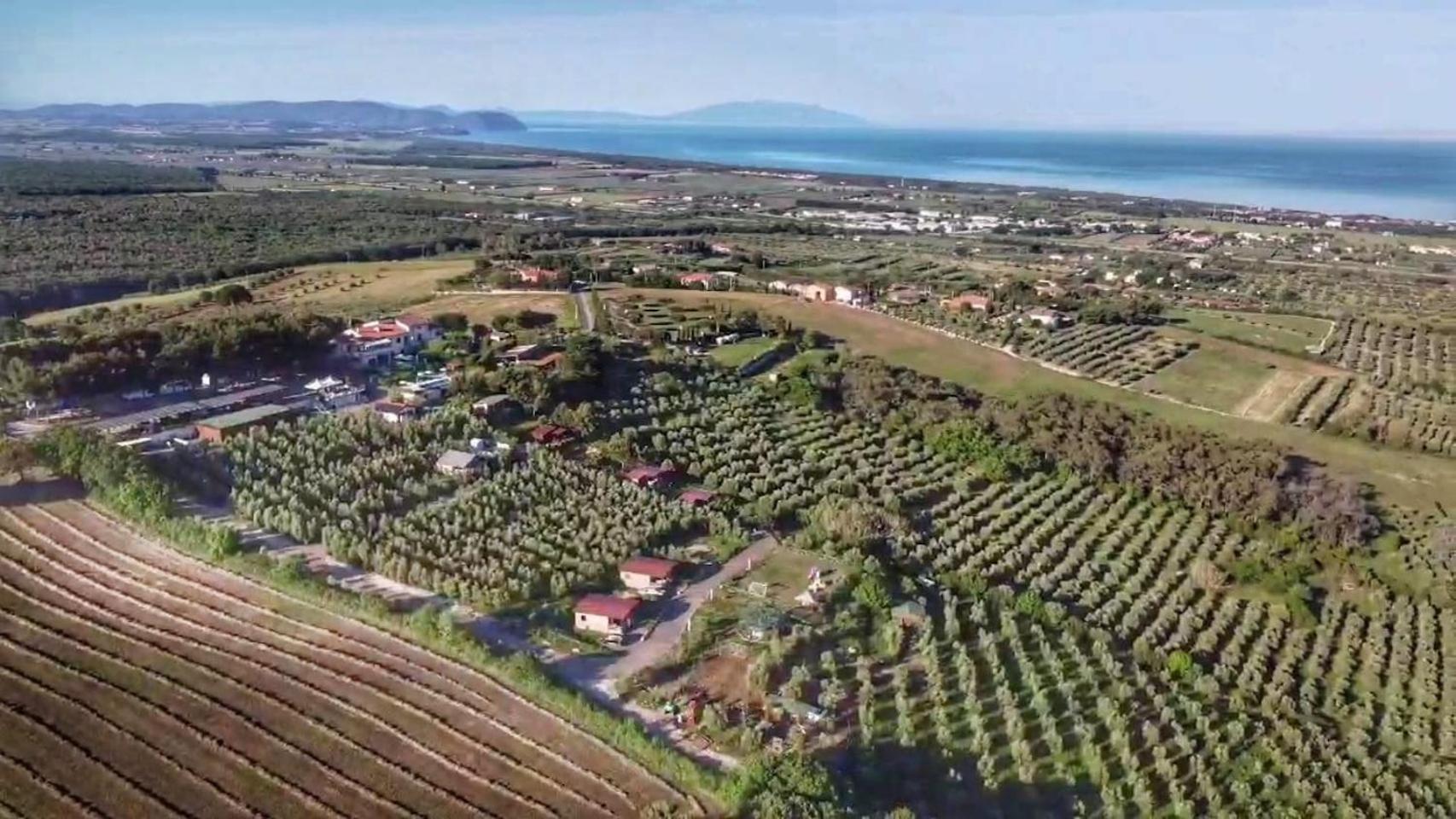 Agriturismo Le Rondini Di San Bartolo San Vincenzo Exterior photo