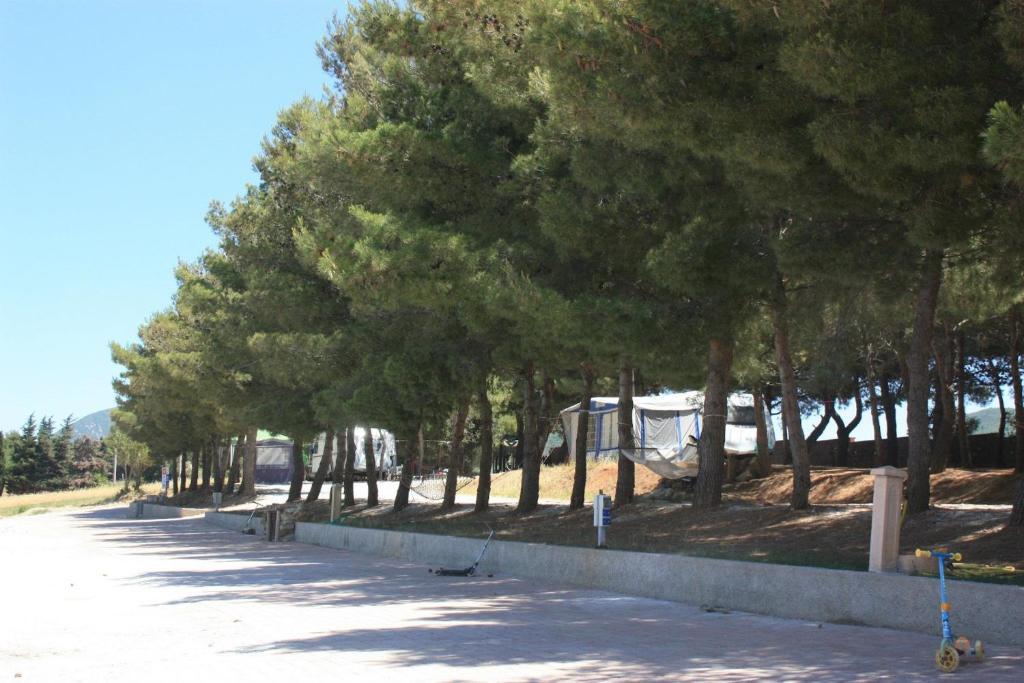 Agriturismo Le Rondini Di San Bartolo San Vincenzo Exterior photo
