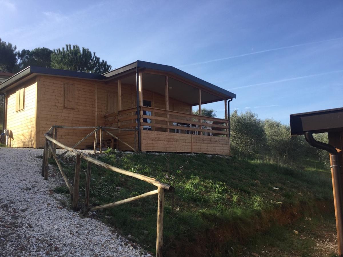 Agriturismo Le Rondini Di San Bartolo San Vincenzo Exterior photo